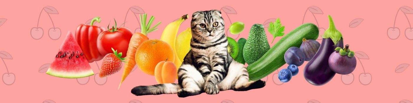 Fruits and vegetables for cats - blog